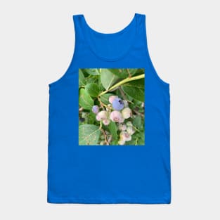 Ripening Blueberries Tank Top